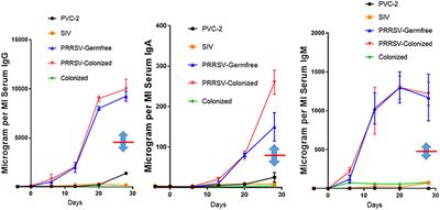 Perturbation of Thymocyte Development Underlies the PRRS Pandemic: A Testable Hypothesis